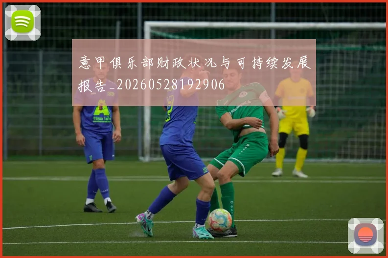 意甲俱乐部财政状况与可持续发展报告_20260528192906